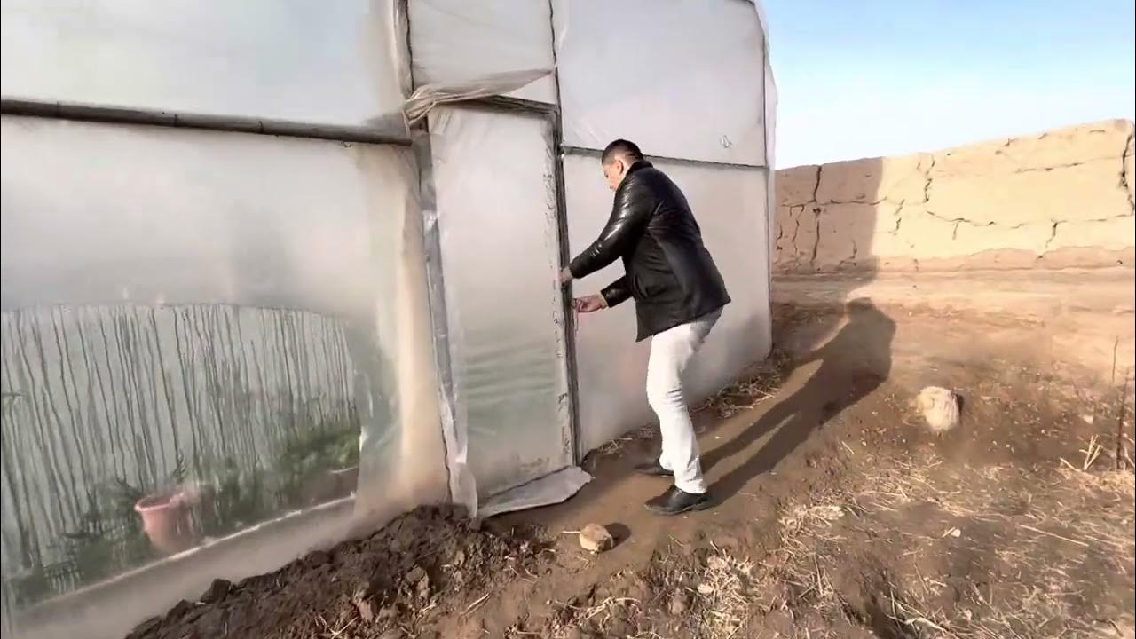 Lesbian jinsiy aloqa video onlayn Nemis porno yulduzlari fotosuratlari royxati