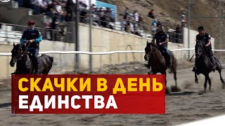 Скачки в День народного единства прошли в Дагестане