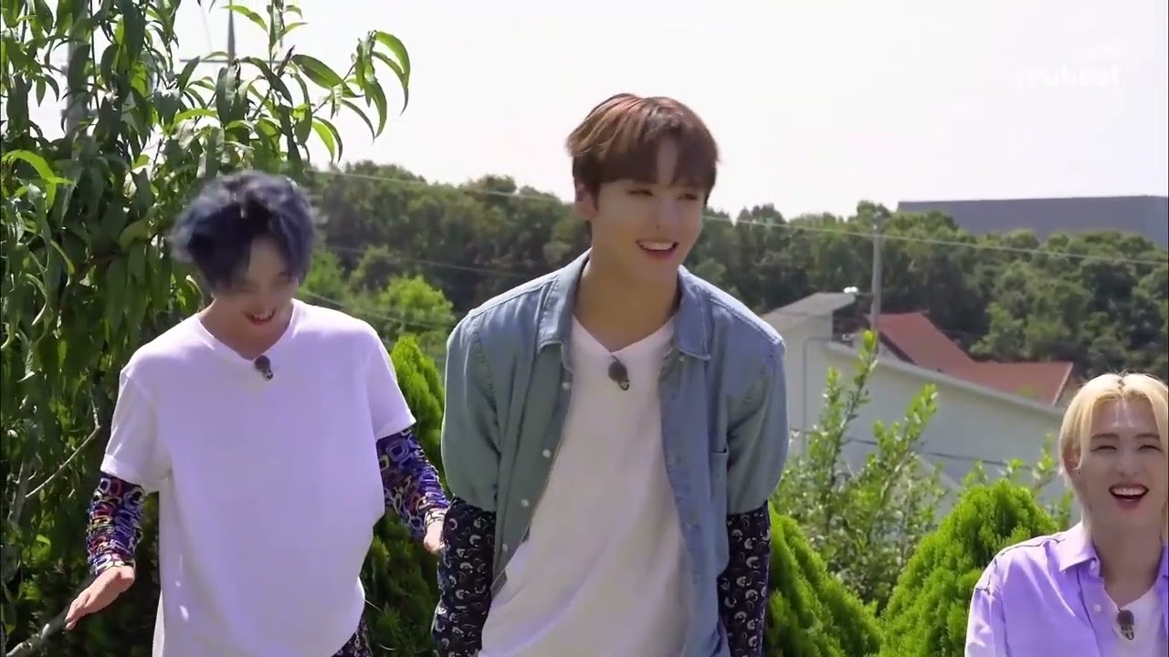 BAE173 First BAEcation VCR