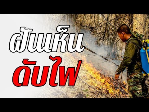 ทำนายฝัน ฝันเห็น ... ดับไฟ ... ทำนายความฝันและตีเลขเด็ดจากความฝันได้ดังนี้