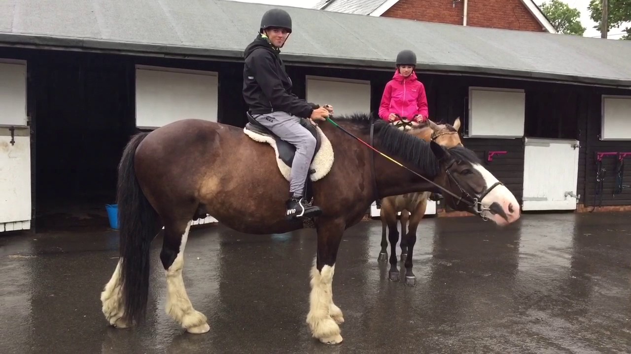 camera iphone 8 plus apk New Forest Horse Riding Louis & Lolly