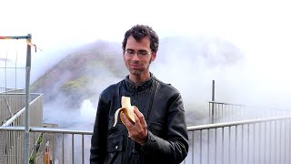 A Banana Grown Against All Odds: The End of An Incredible Adventure - ICELANDIC BANANA SAGA