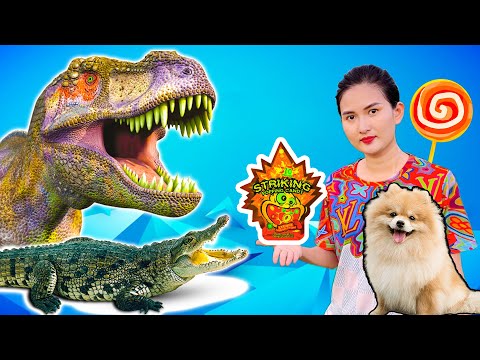 Video: Mất Nước ở Ngựa - Mất Nước ở Ngựa