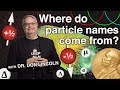 Where do particle names come from?