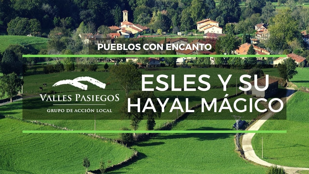 Que ver en Cantabria 🌿 Las mejores vistas de Esles desde su espectacular hayal 🌿 Valles Pasiegos