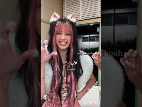 امم ادري متأخرة بس يلا عاتي هايونات لهايان وبسس  روبيجان ات قيرلز البلينك