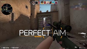CSGO PerfectAim