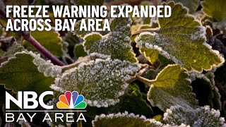 Freeze Warning Expanded Across Much of Bay Area