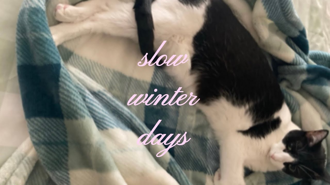 postcard 001 | a quiet calamity 🫐🌧️💫