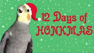 12 Days of HONKMAS