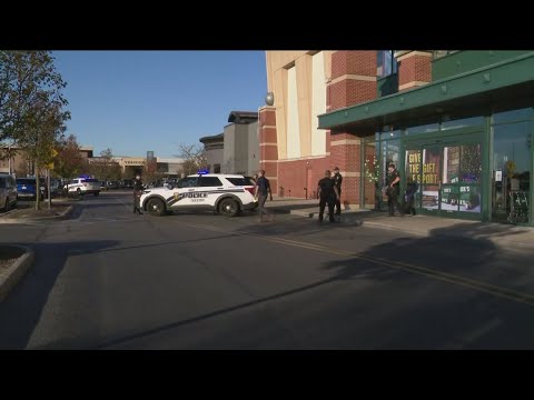 'I'm afraid now': Shoppers react to Franklin Park Mall lockdown, shots ...