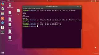 2.29. Viewing Files - Part 1.mp4
