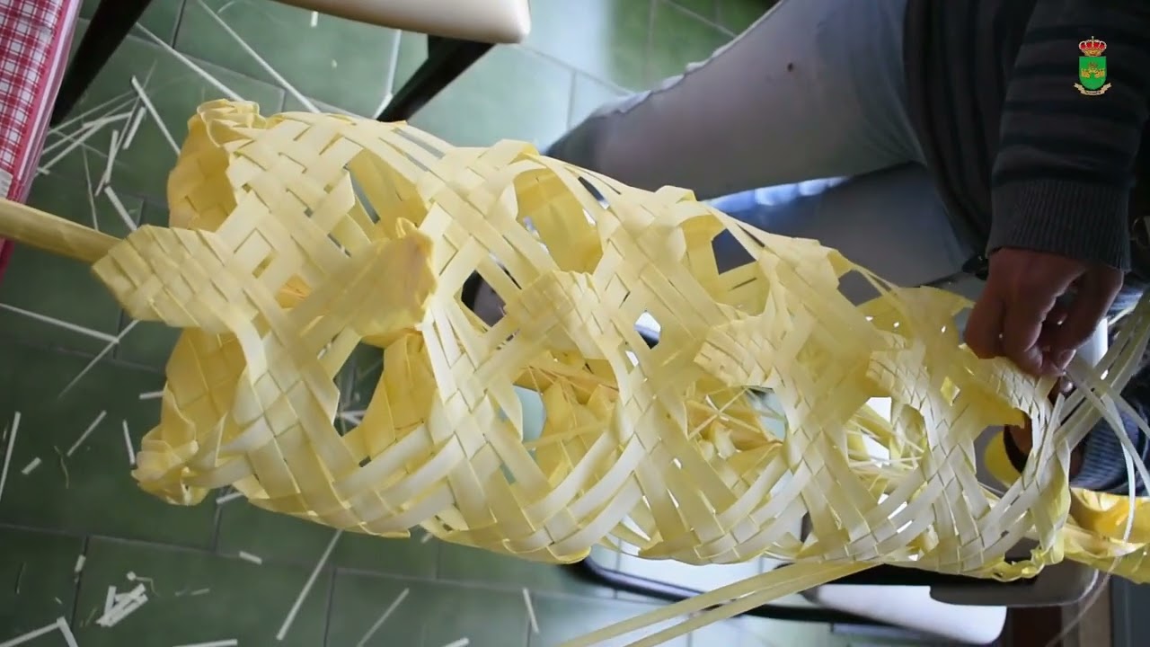 REPORTAJE PALMA RIZADA 2024