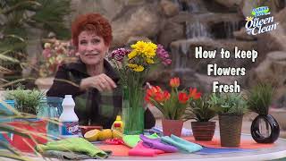 Keeping FLOWERS FRESH - Queen Of Clean Cleaning Tip Video