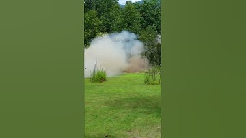 Redneck tree stump removal