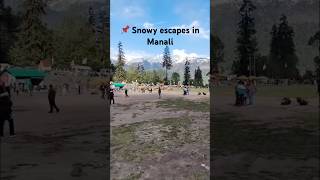 📍Manali ,Solang valeley🏔️ #trending #snow #fypシ #viral