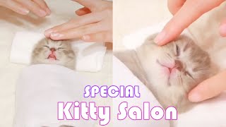 Kitty Salon Special  Kitty ASMR 2: Super Cute Kitten Falling Asleep Baby Cat Having SPA Treatment