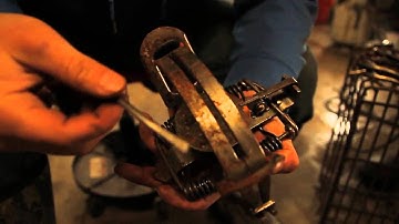 Trapping: Trap Modifications - The Management Advantage #31