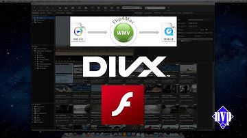 Niche Video Products - CatDV - Format Support