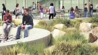 Architecture Preview: Los Angeles Valley College Monarch Center
