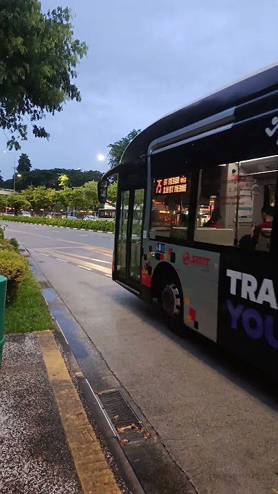 (Friendly bus captain)75 SMB1596B