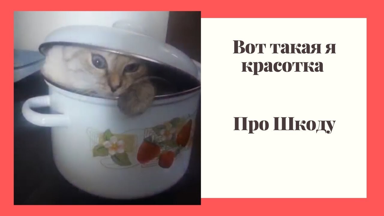 Шутки про шкоду
