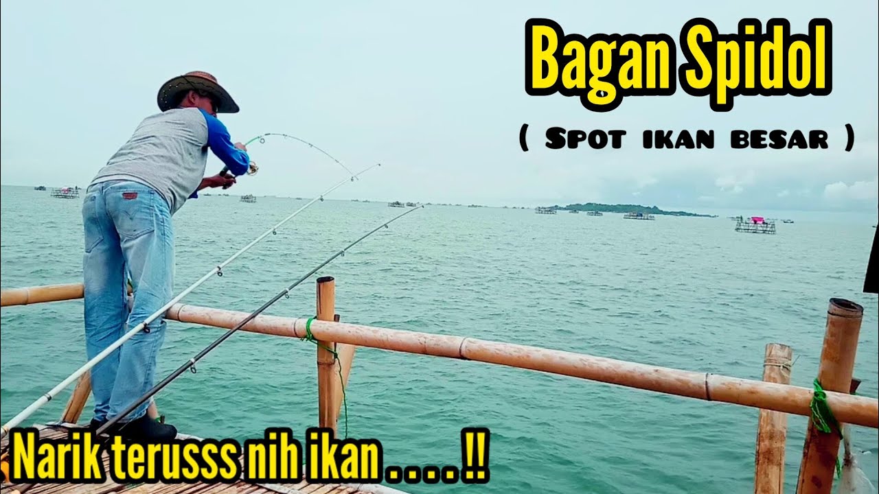 Bablas !! tenaga nya gede bgt ikan di Bagan ini || Mancing di Bagan Tanjung kait