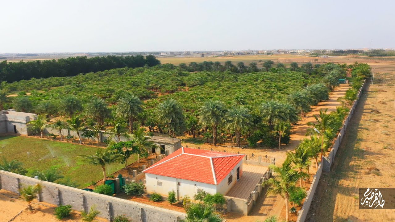 مزرعة وإستراحة الشيخة غلا - جازان -أبوعريش طريق الواصلي(0502489701)