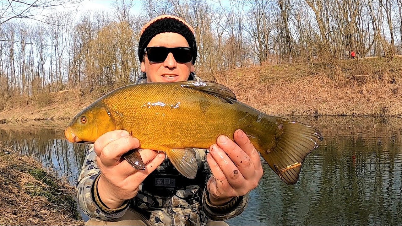 Piękne grube LINY na spinning z krystalicznej rzeki – Ultralight Fishing.