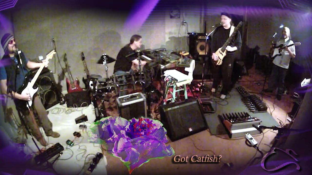 Franklin'Stove "Got Catfish?"