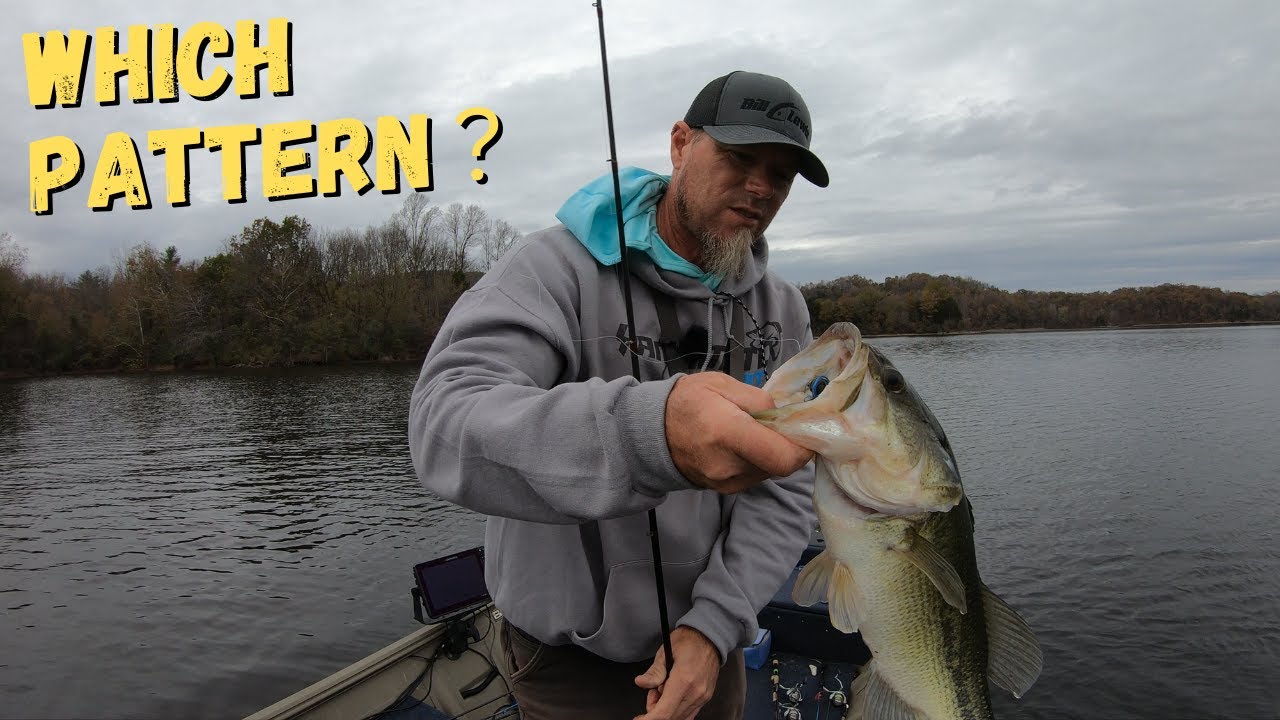 Fall Bass Fishing- Finding The Best Pattern