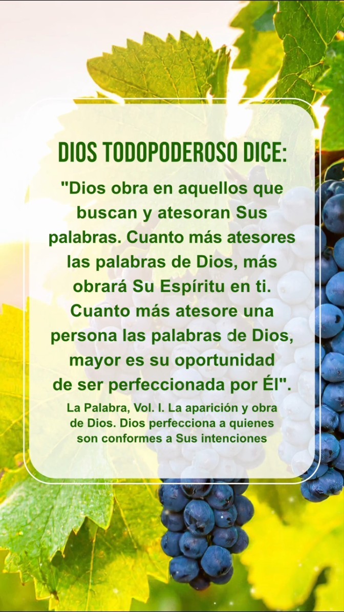 Dios quiere que leamos en silencio este pasaje de Sus palabras