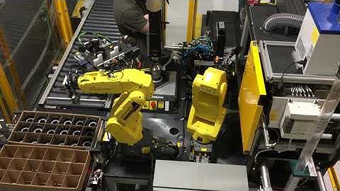 Fanuc Robot Insert Molding Cell