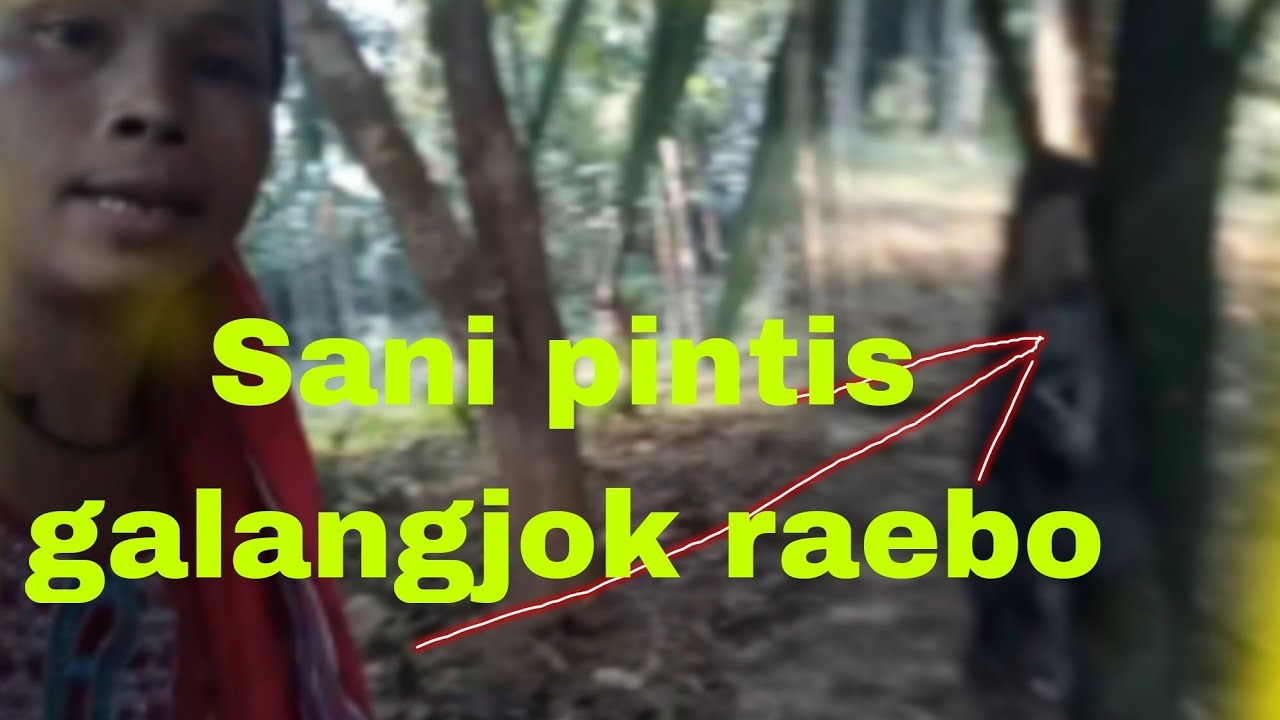 Sawa jara jawani bagano Mechik chomare pintis galpile //NithaAzong marak 