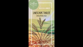 🤩 Deck-in-a-Minute 🌳 Linescape Tarot Evolution Gold 🌟 #shorts