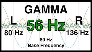 56 Hz Pure BINAURAL Beat ❇️ GAMMA Waves [80 Hz Base Frequency] ❇️ Ondas Gamma 100%