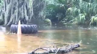 Manatee flooding near Landfill Road