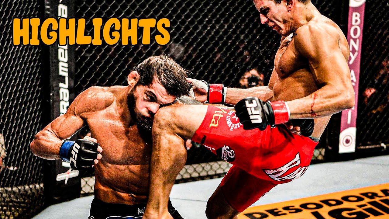 The Most Brutal MMA Video Savage Knockouts and Highlights