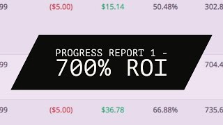 Progress Report 1 - 735% ROI!