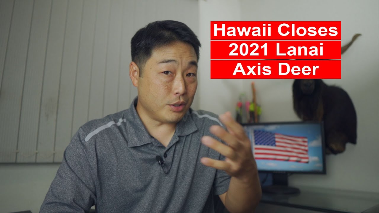 Hawaii Closes 2021 Lanai Axis Deer Season YouTube