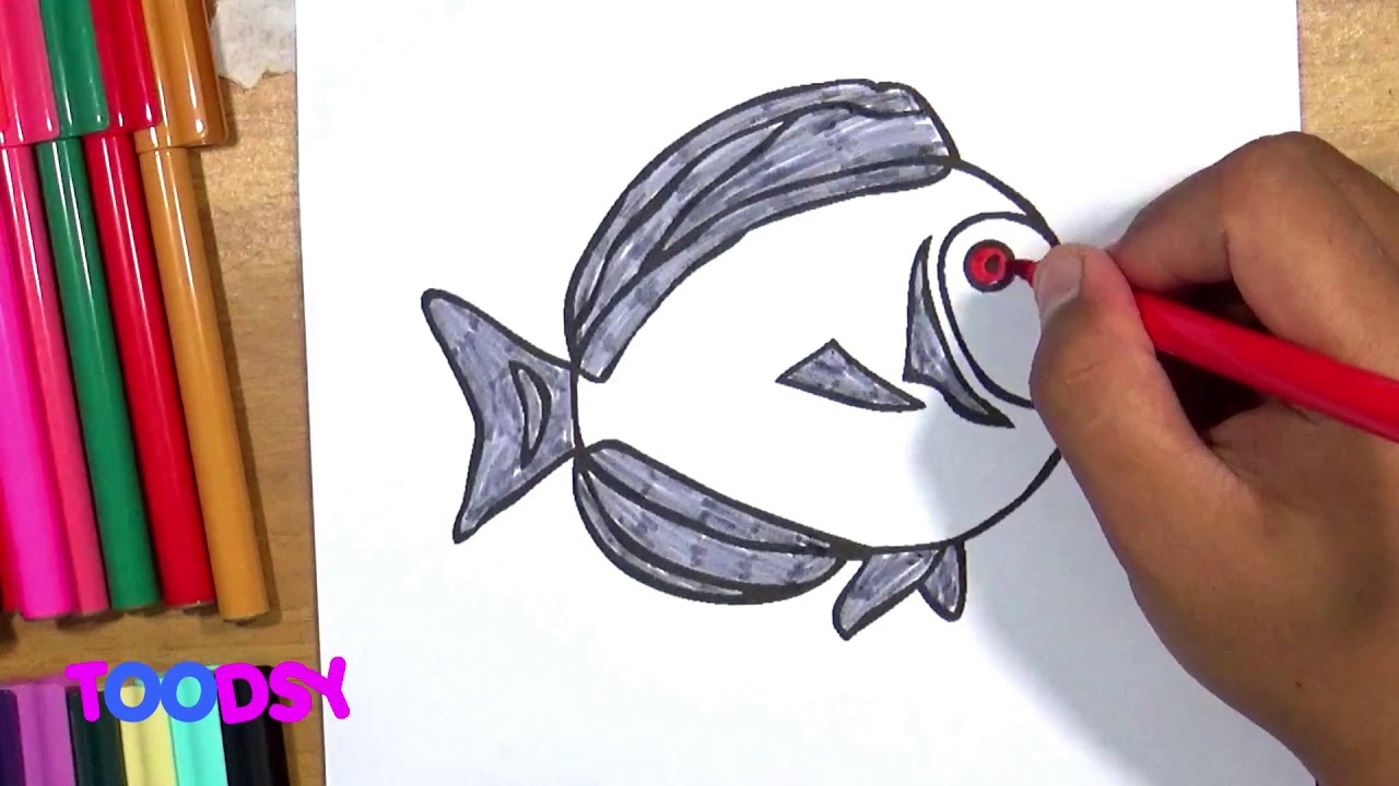 How To Color Japan Surgeonfish Free Sea Animals Coloring Page