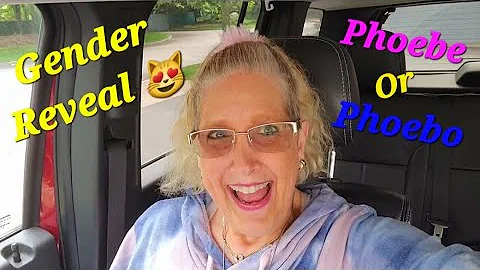 Watch the video about Gender Reveal For My Rescue Kitten! British Longhair Girl Or Boy?