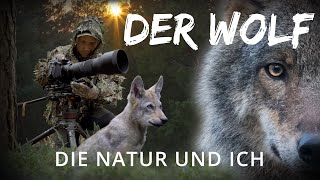 Der Wolf, die Natur und Ich | Wie Wölfe wirklich sind | Meine Erfahrung als Tierfilmer