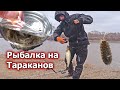 Ловля рыбы на тараканов! Рыбалка на красноперку.