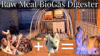 Pressurizing Methane in a Large Biogas Digester