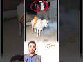 شاهد كيف يحيط لطف الله بخلائقه في ظلمات الليل Trending اكسبلور 
