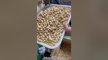 AMD Nut Color Sorter for Peanut and Groundnuts Sorting