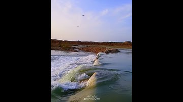 سعد الغامدي | الاية 79 من سورة النحل | خانقين | سد الوند 💙