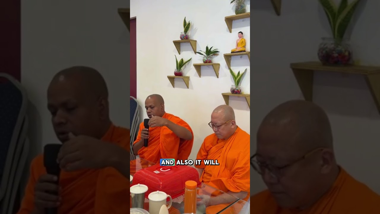 Dhamma Reels Series Season 1 Episode 1