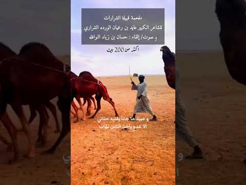 ملحمة قبيلة الشرارات للشاعر عايد بن رغيان الشراري إلقاء حسان النوافله قلبي يزوم و زود طيشه بلاني